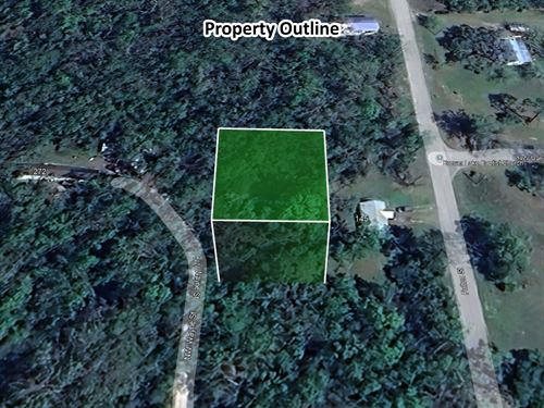 .29 Acre Rural Lot, Paved Access : Mayo : Lafayette County : Florida