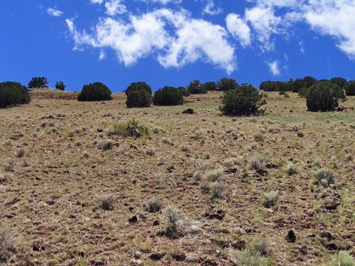 Off-Grid Escape in Concho Valley : Concho : Apache County : Arizona