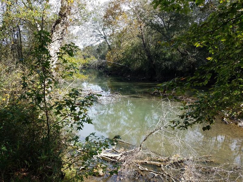 Sequatchie River, Pasture, Woods : Whitwell : Marion County : Tennessee