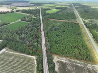 24.06 Acres on Jamestown Rd : Waycross : Ware County : Georgia