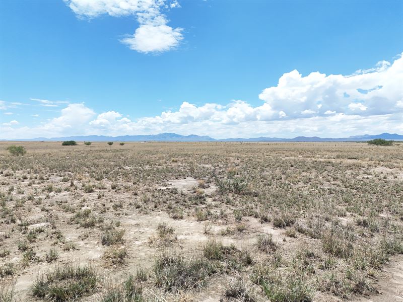 Smart Land Buy in Willcox : Willcox : Cochise County : Arizona