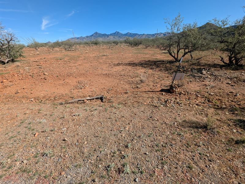 Lot Cleared and Fenced : Rio Rico : Santa Cruz County : Arizona