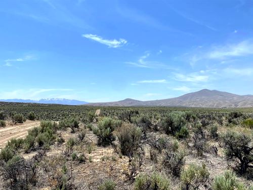 Nevada Land Minutes From Elko : Elko : Nevada