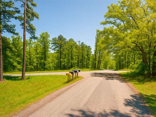 Peaceful Country Living in Bigelow : Bigelow : Perry County : Arkansas