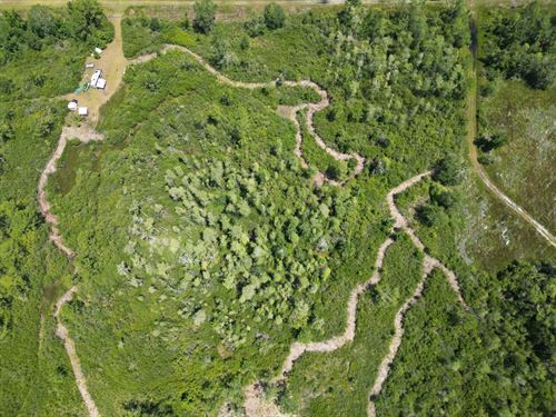 Taylor County 15 Acres : Perry : Taylor County : Florida