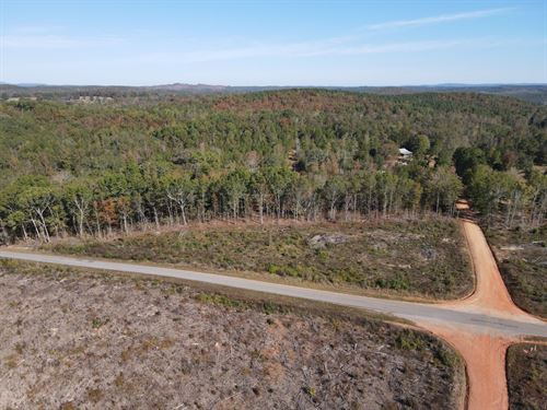3.5 Ac in Clay County, AL : Lineville : Clay County : Alabama