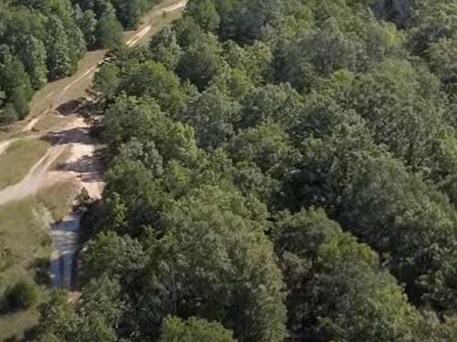 Own Flat Hillcrest Lot with No HOA : Horseshoe Bend : Izard County : Arkansas