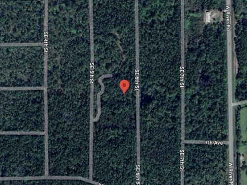 123 SE 6th St on Unmaintained Grass : Palatka : Putnam County : Florida