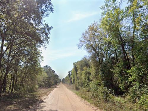 Peaceful and Affordable Land : Interlachen : Putnam County : Florida