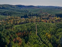 Lumpkin Mill Creek : Cave Springs : Cherokee County : Alabama