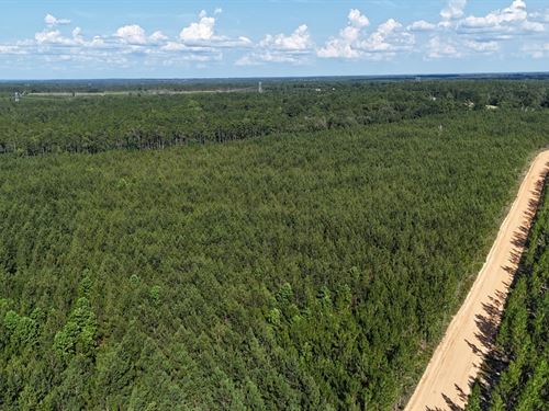 7.2+/- Acres on Penny Morris Road : Baxley : Appling County : Georgia