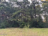 3 Acres Near McComb, Mississippi : McComb : Pike County : Mississippi