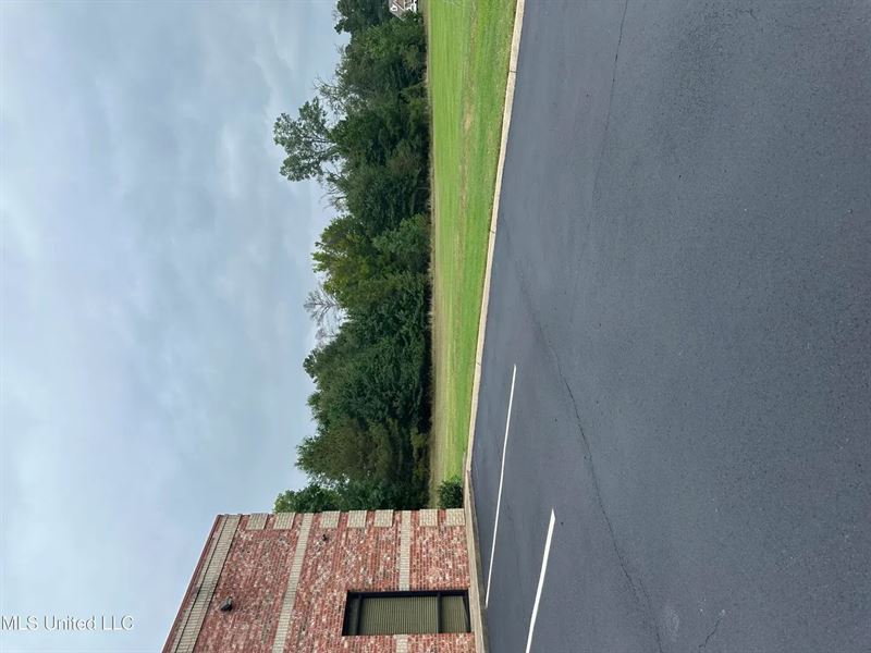 2.6 Acres Near Byram, Mississippi : Byram : Hinds County : Mississippi