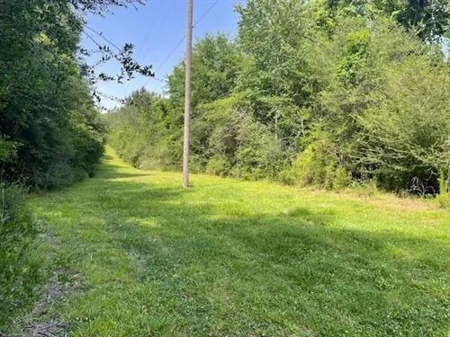 10 Acres Near Tylertown, Mississipp : Tylertown : Walthall County : Mississippi