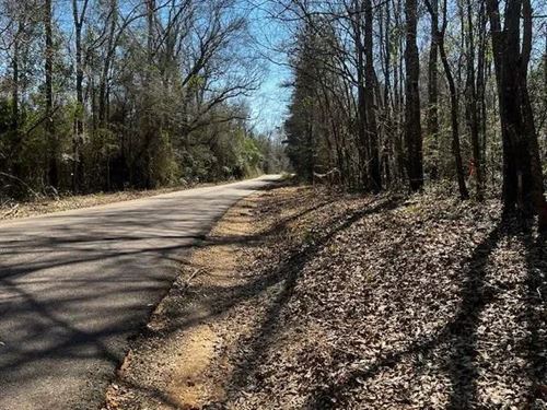8.01 Acres Near Sandy Hook, Mississ : Sandy Hook : Walthall County : Mississippi