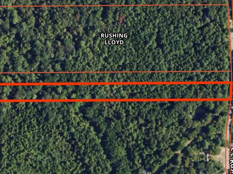 4.37 Acres Near Tylertown, Mississi : Tylertown : Walthall County : Mississippi