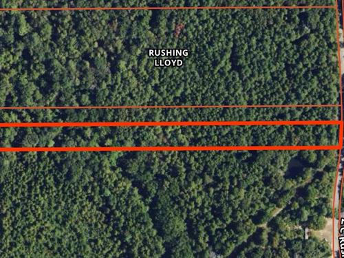 4.37 Acres Near Tylertown, Mississi : Tylertown : Walthall County : Mississippi