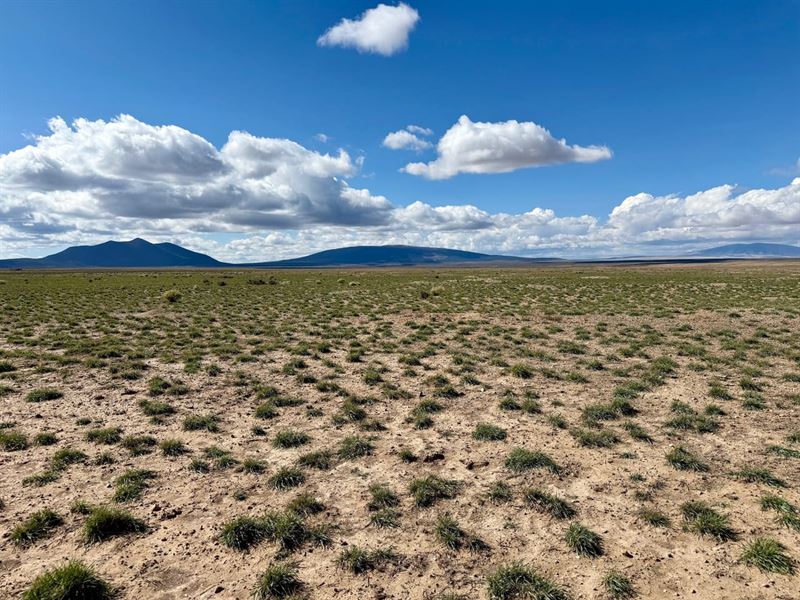 20 Acres in Cerro, New Mexico : Cerro : Taos County : New Mexico