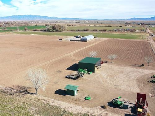 Centerfire Farm : Las Nutrias : Socorro County : New Mexico
