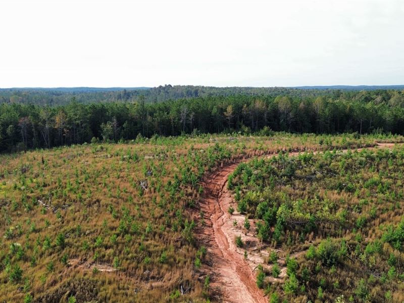 57 Acres North Pickens County : Ethelsville : Pickens County : Alabama