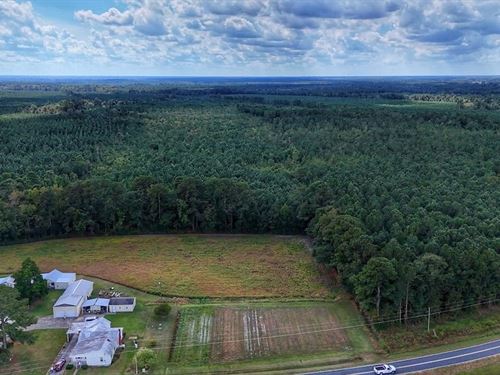 81 Acres of Recreational Land : Pink Hill : Lenoir County : North Carolina