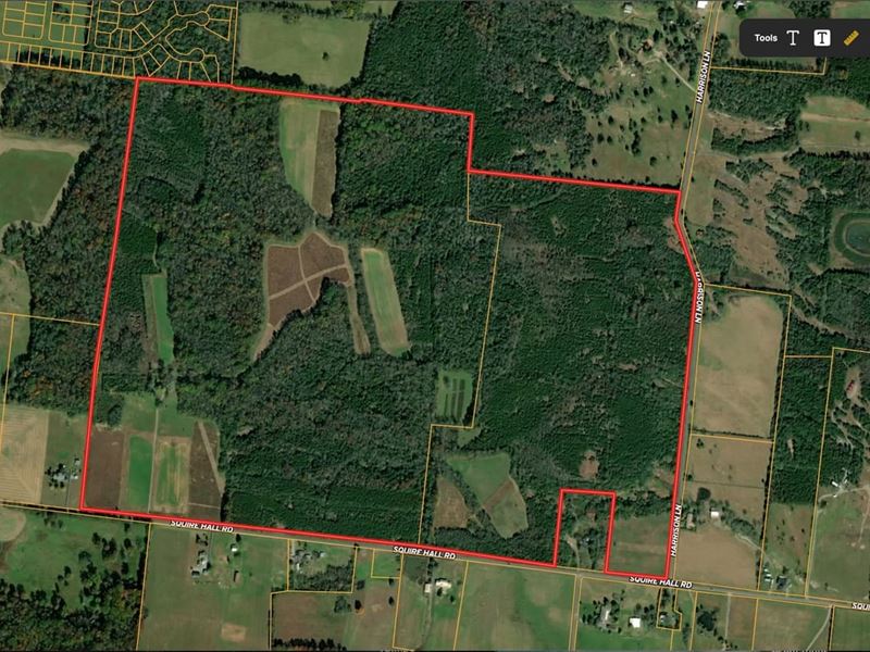 Exceptional Development Opportunity : Bell Buckle : Bedford County : Tennessee