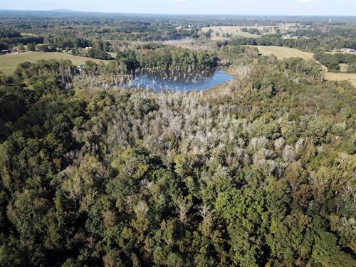 Buffalo Creek A Duck Hunter's Dream : Carrollton : Carroll County : Georgia