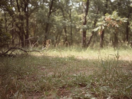 30.88 Acres in Cherokee County OK : Hulbert : Cherokee County : Oklahoma