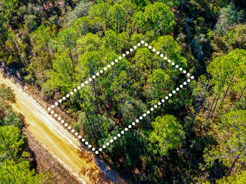 Peaceful Lot Near Interlachen : Interlachen : Putnam County : Florida