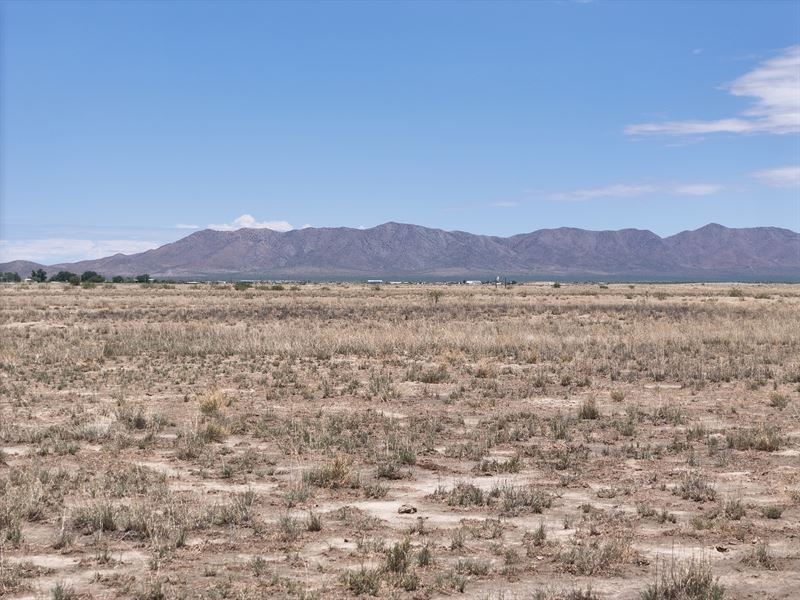 Invest in Arizona Desert Land : Willcox : Cochise County : Arizona