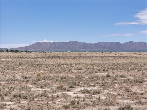 Invest in Arizona Desert Land : Willcox : Cochise County : Arizona