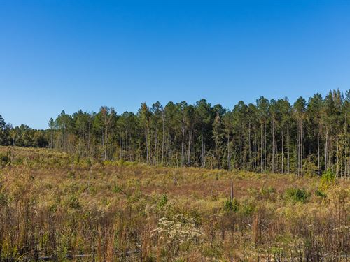 $999 Down, Invest Today : McCool : Attala County : Mississippi