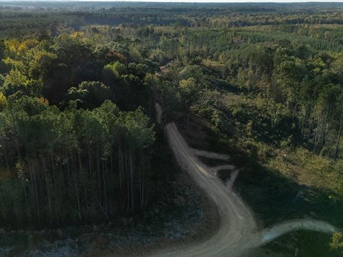 $999 Down with Electric/Won't Last : McCool : Attala County : Mississippi