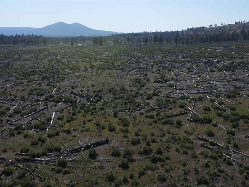 See Oregon Land Discount, Act Fast : Sprague River : Klamath County : Oregon