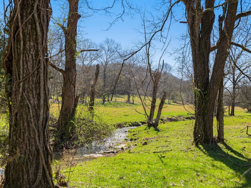 Welcome To Turkey Ridge in The Roll : Petersburg : Lincoln County : Tennessee