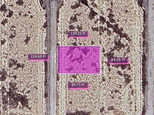 Great Cash Deal on 0.254 Acre Lot : Pahrump : Nye County : Nevada