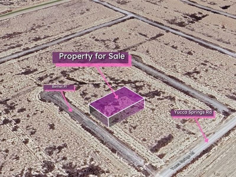 Great Cash Deal on 0.254 Acre Lot : Pahrump : Nye County : Nevada
