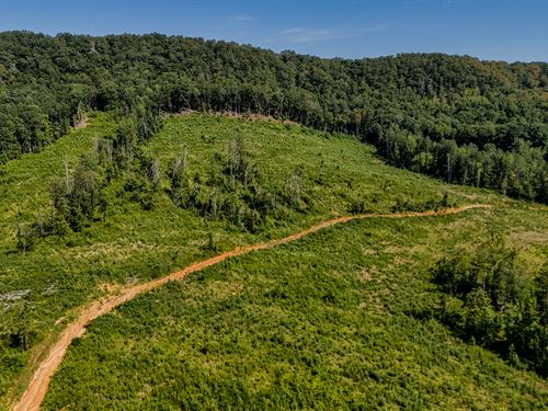 Back Valley Tract 1 : Lyerly : Chattooga County : Georgia