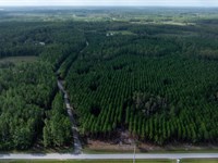 Old Cypress Farms Lot 14 : Starke : Bradford County : Florida