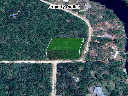.49 Acre Riverfront Area Lot : Mayo : Lafayette County : Florida
