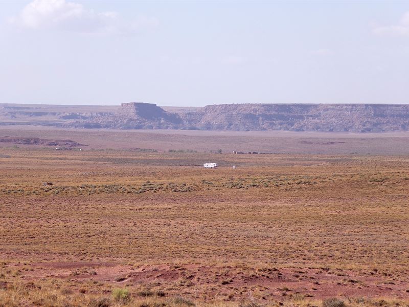 Escape Winter to Apache County : Adamana : Apache County : Arizona