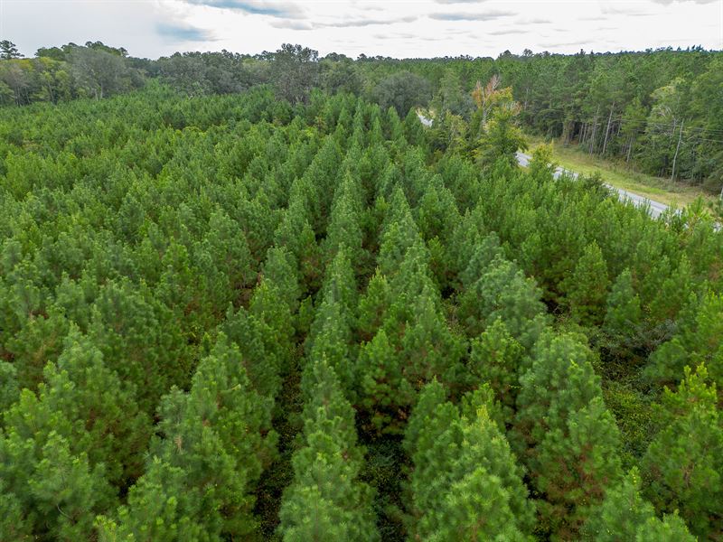 59 Acres, Country Living Retreat : Nahunta : Brantley County : Georgia