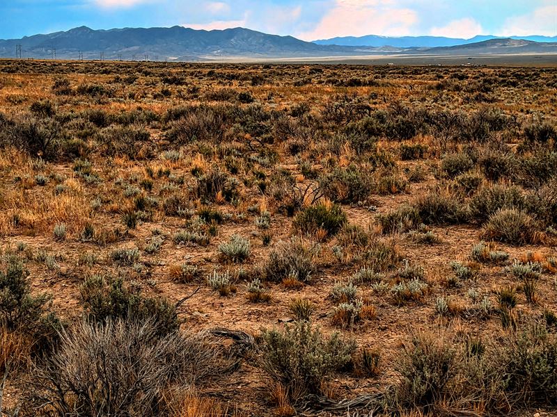 Montello Desert View Acreage : Montello : Elko County : Nevada