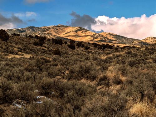 Ridgeview Freedom Property : Montello : Elko County : Nevada