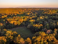 133 Acres in Shelby County : Calera : Shelby County : Alabama