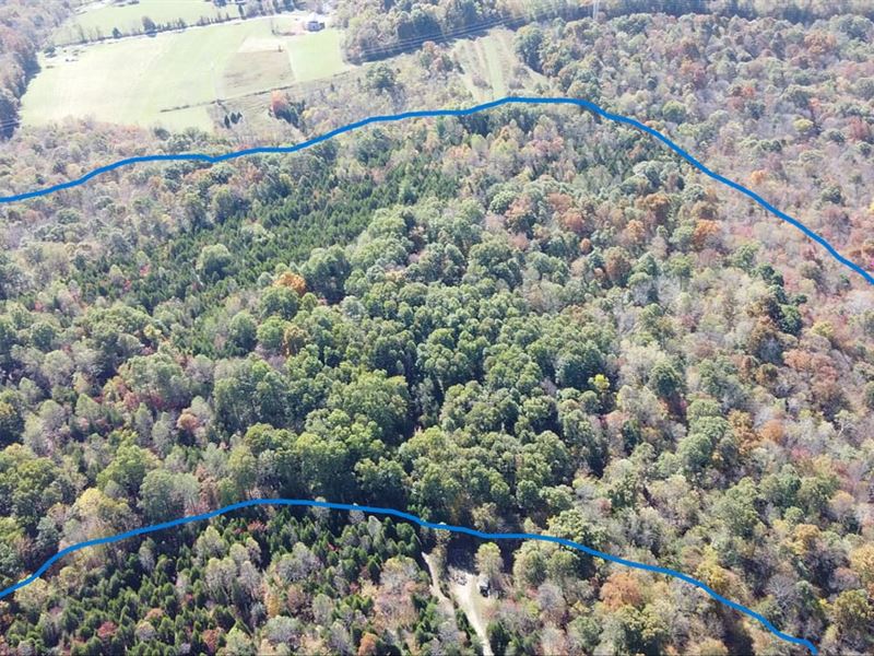 36.935 Acre Woodland Haven : Marengo : Crawford County : Indiana