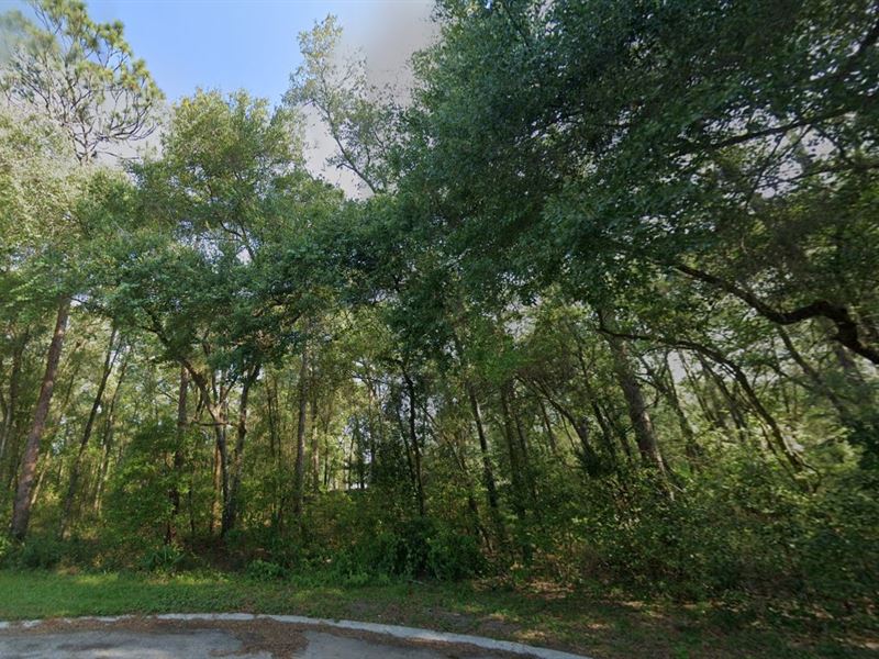 Grab Inverness Lot Pay Only $433/Mo : Inverness : Citrus County : Florida