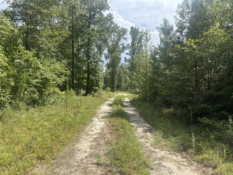 Owner Financed Estate Lot : Dublin : Laurens County : Georgia