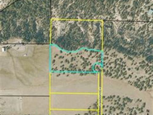 Amazing Opportunity : Salida : Chaffee County : Colorado