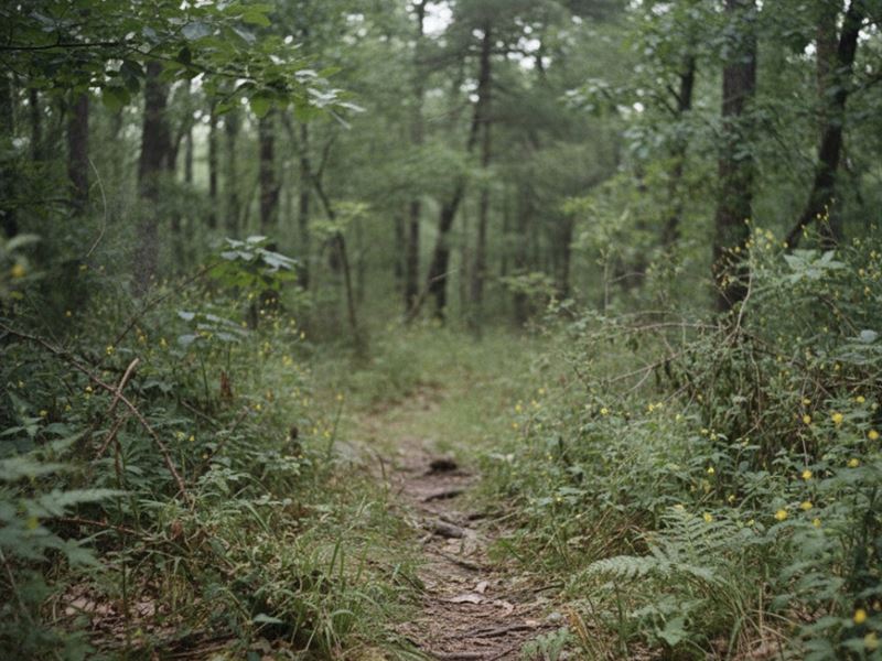 Off-Market 56.02 Ac with Home : Benton : Saline County : Arkansas